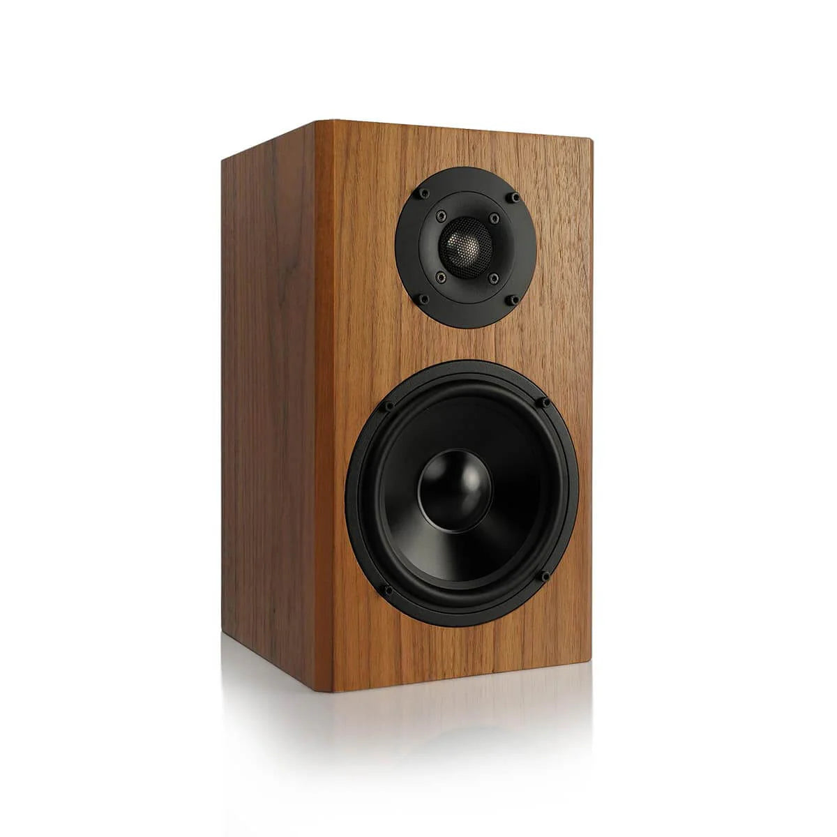 #colour_English Walnut