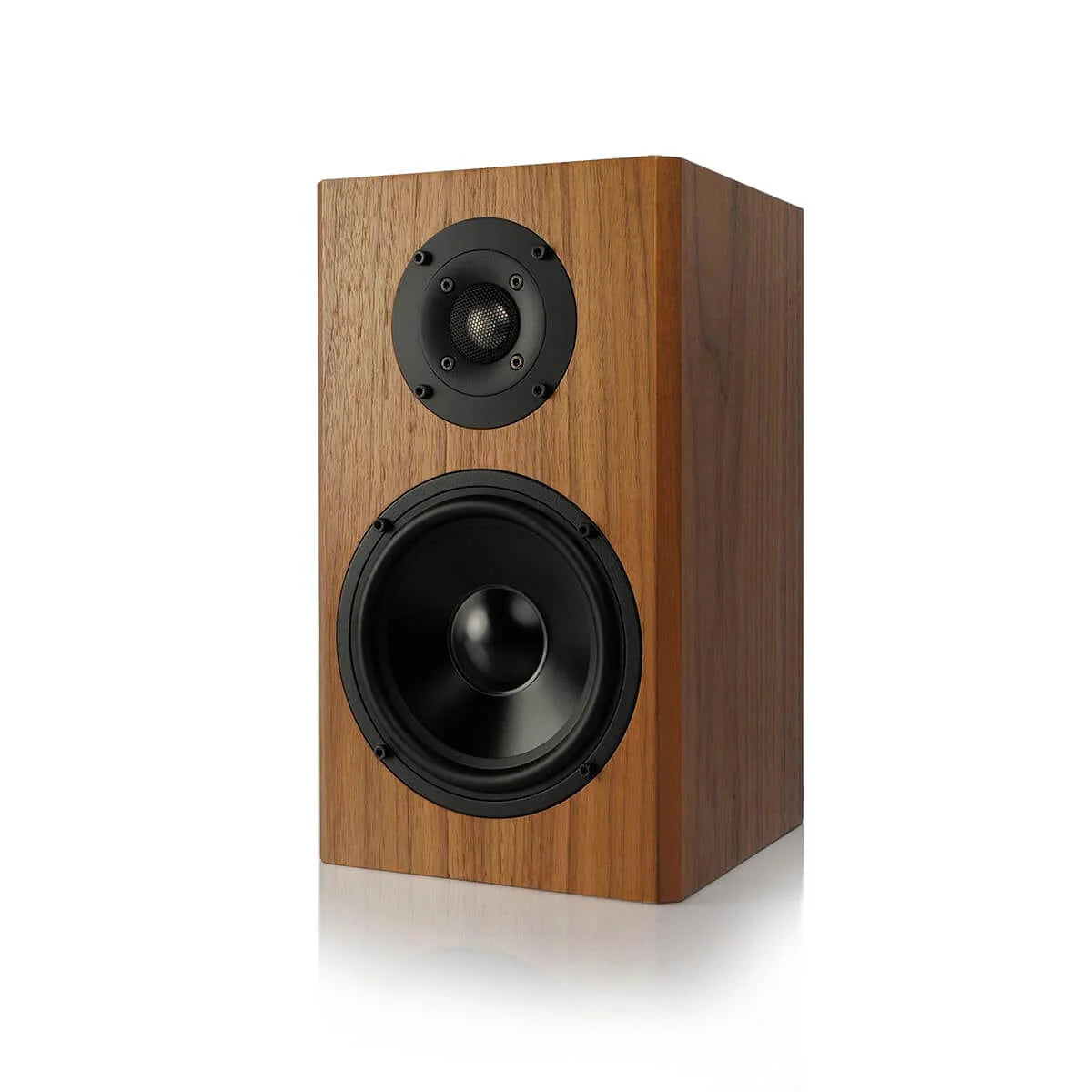 #colour_English Walnut