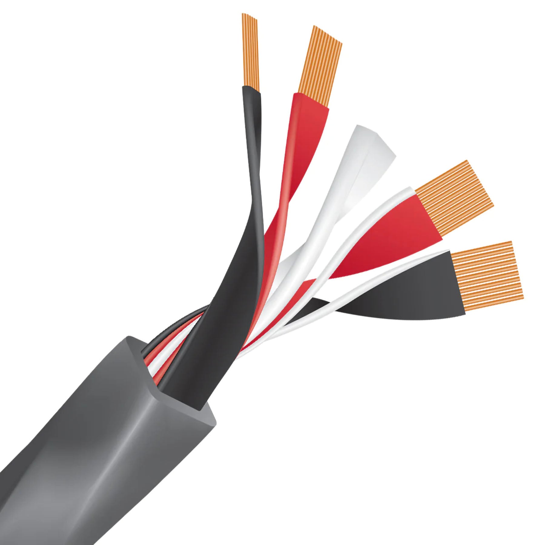 Wireworld Equinox 10 Bi-Wired Speaker Cable Pair (EQB)