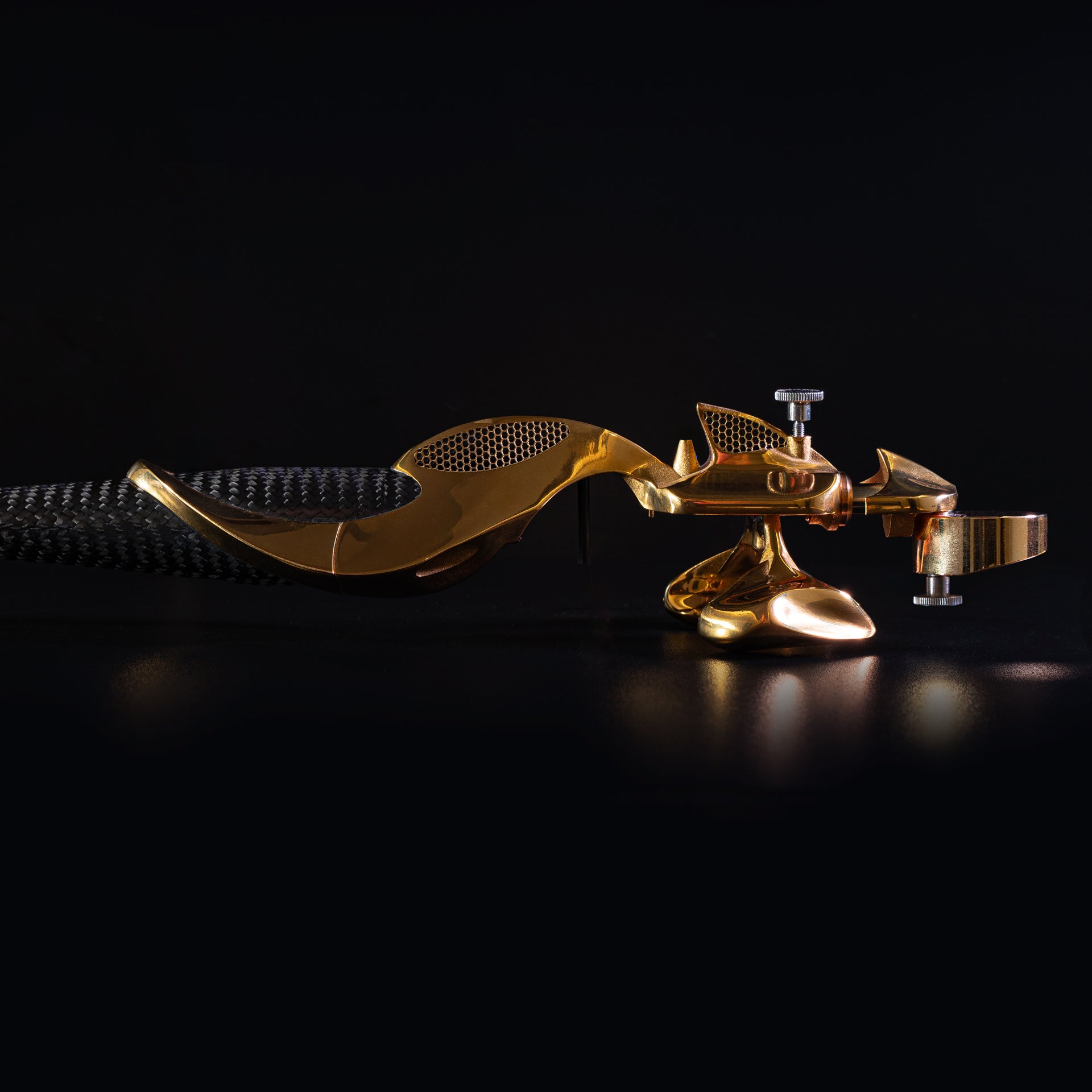 #colour_Polished Gold