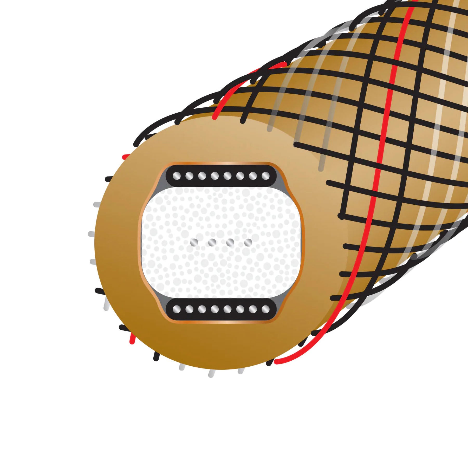 Wireworld Gold Starlight™ 10 Coaxial Digital Audio Cable (GSV)