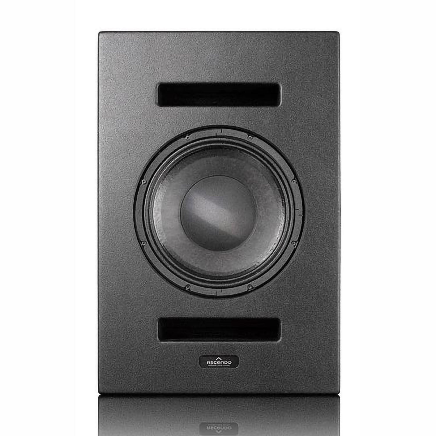 Ascendo The12 ASC-12PAXT 12" Coax PRO Active External On Wall Speaker (Single)