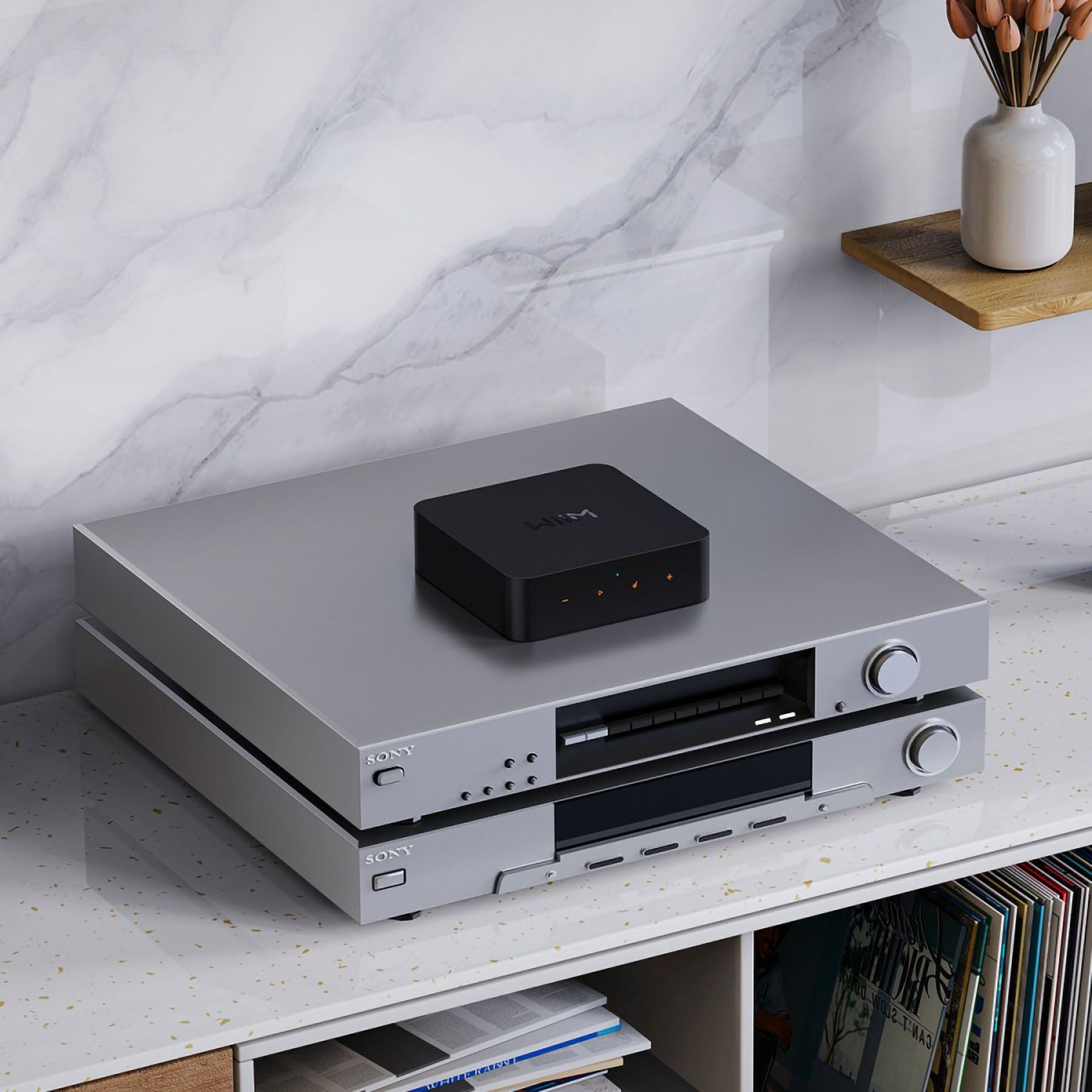 WiiM Pro Plus Wireless Audio Streamer AirPlay 2 & Chromecast