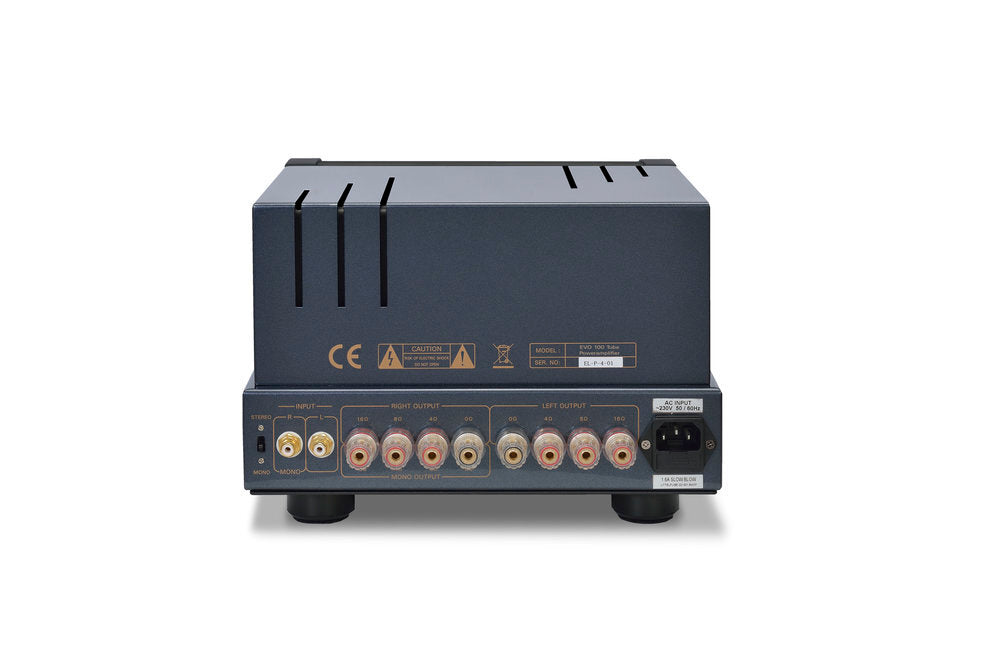 PrimaLuna Evo 100 Tube Power Amplifier full rear view