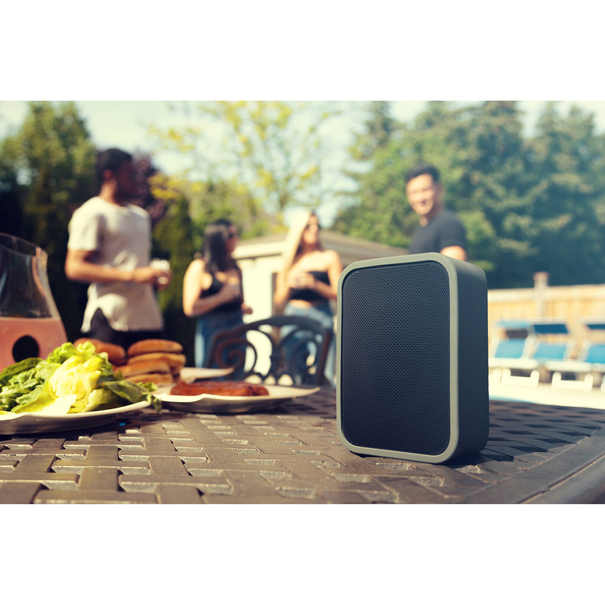 Bluesound PULSE FLEX 2i Portable Wireless Multi-Room Music Streaming Speaker