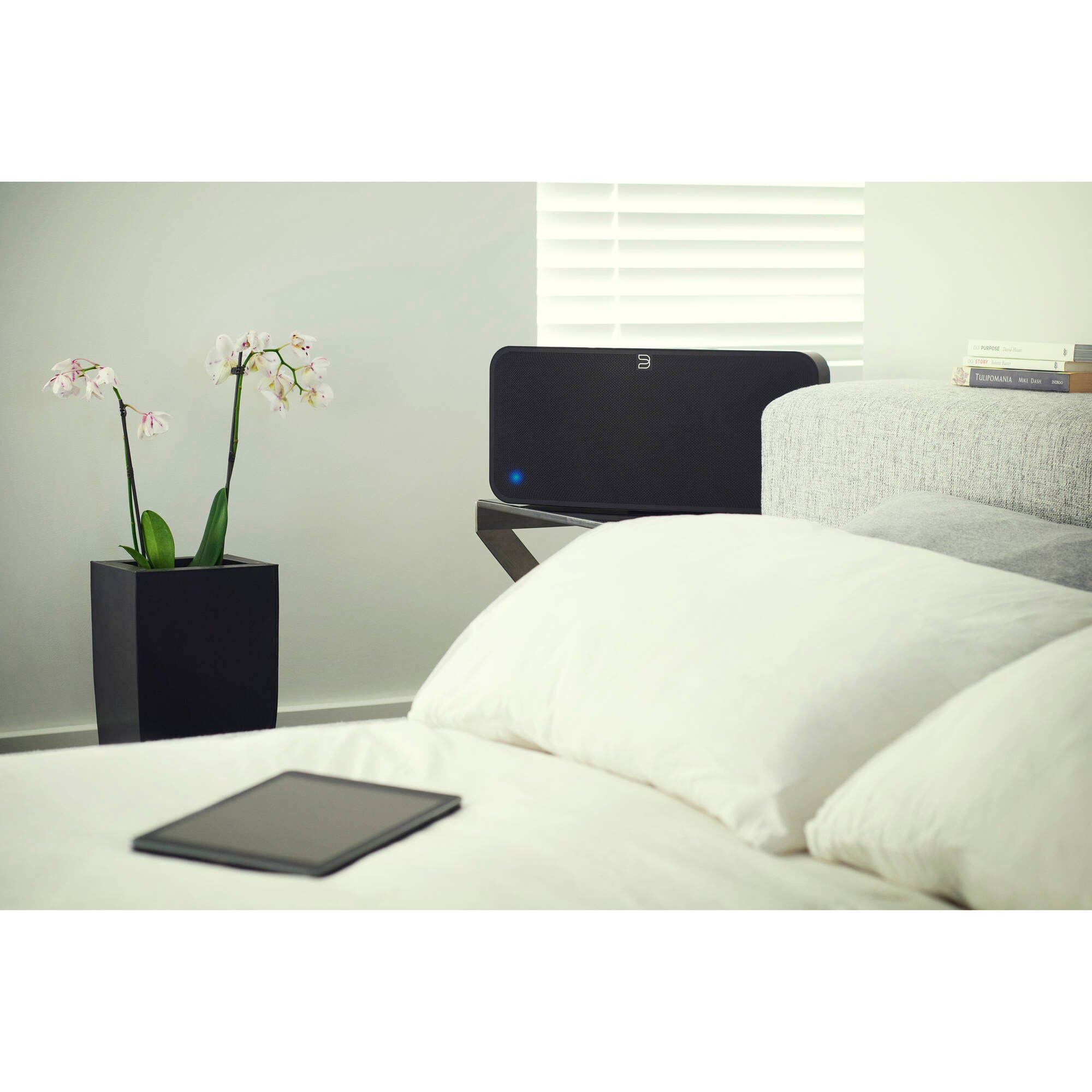 Bluesound PULSE 2i Wireless streaming speaker