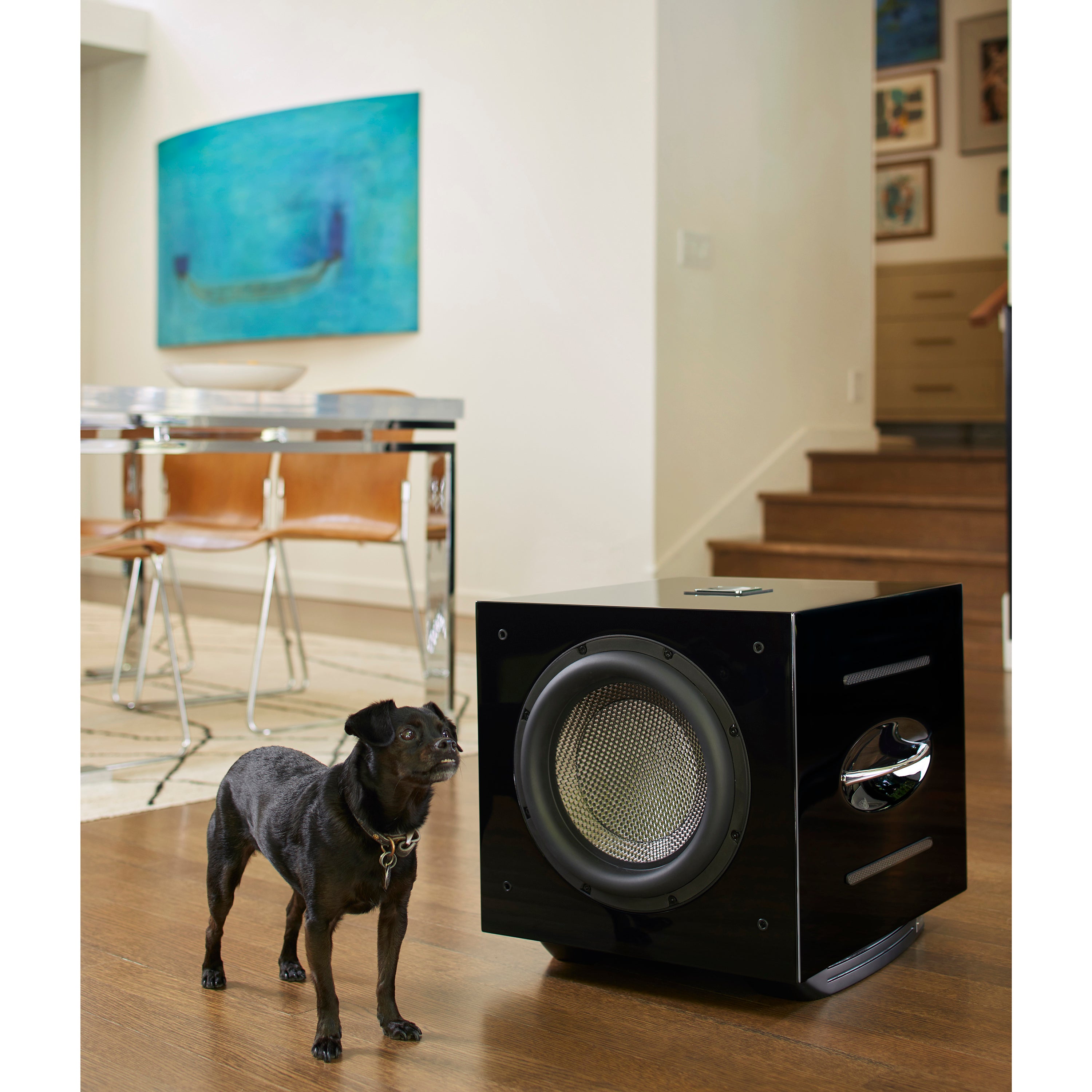 REL Acoustics Series S Carbon Special 12 inch Carbon Fibre Front-firing Active Driver, Down-firing Passive Subwoofer