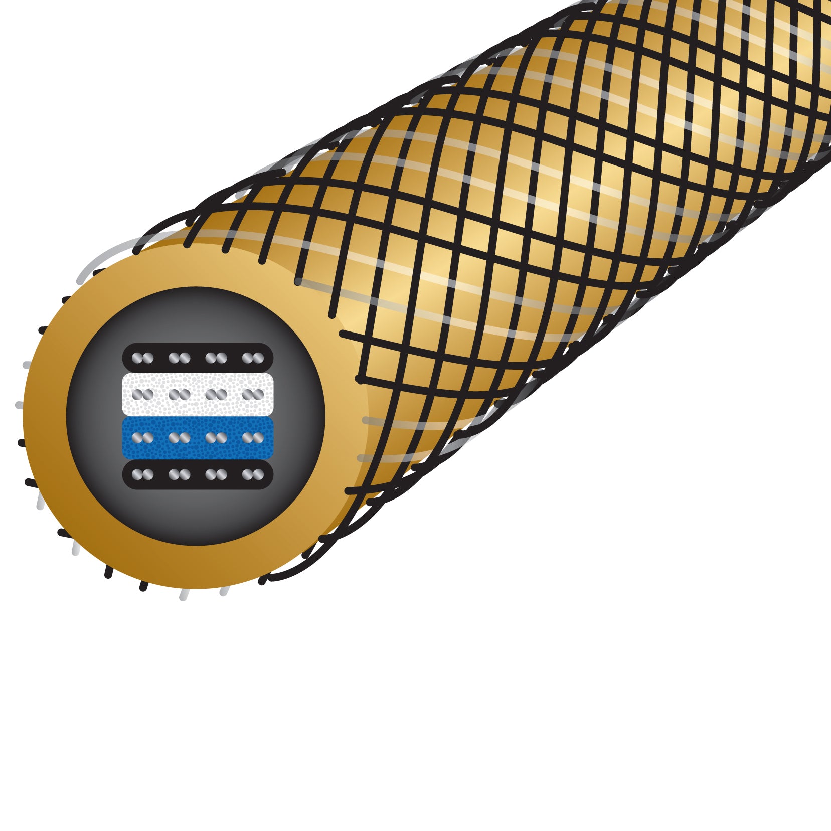 Wireworld Gold Eclipse Bi-Wire Jumpers 6 inch (Spades) (set of 4)