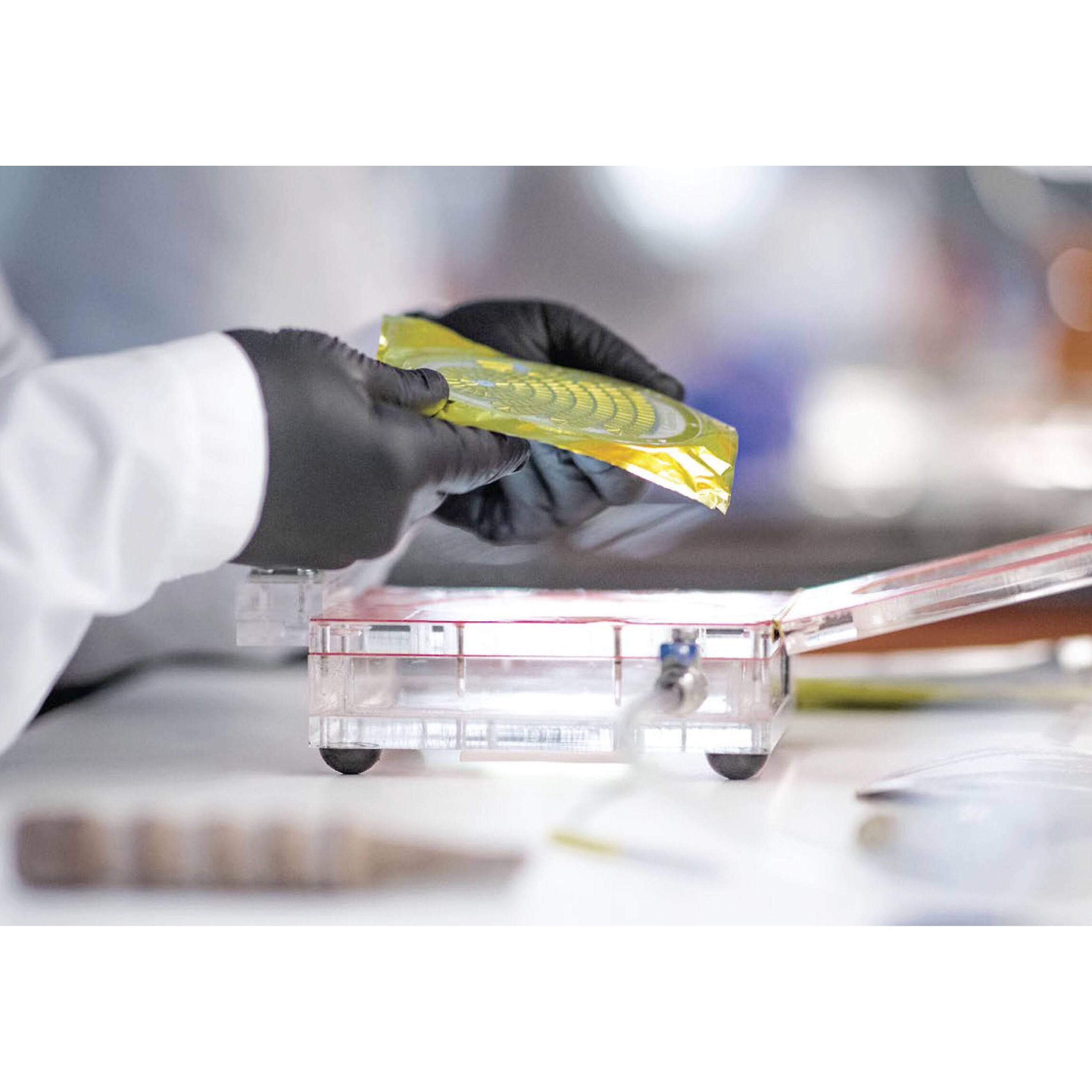 Meze Audio Elite Aluminium