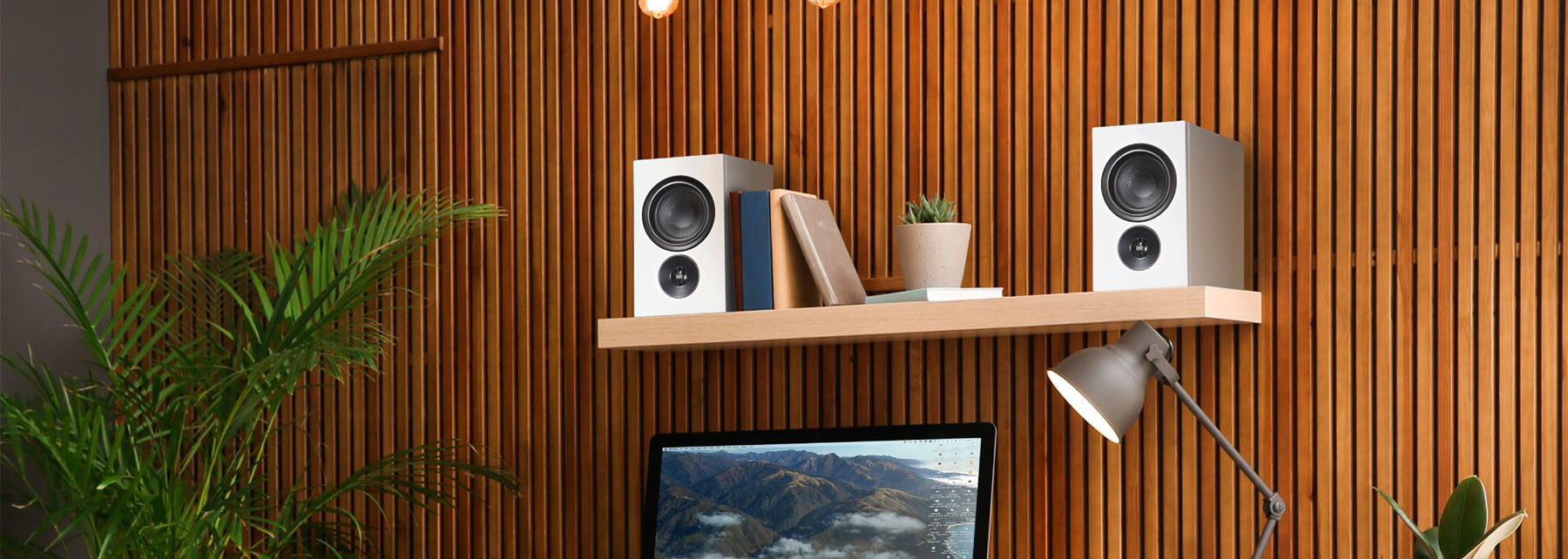 Computer/Desktop Speakers.