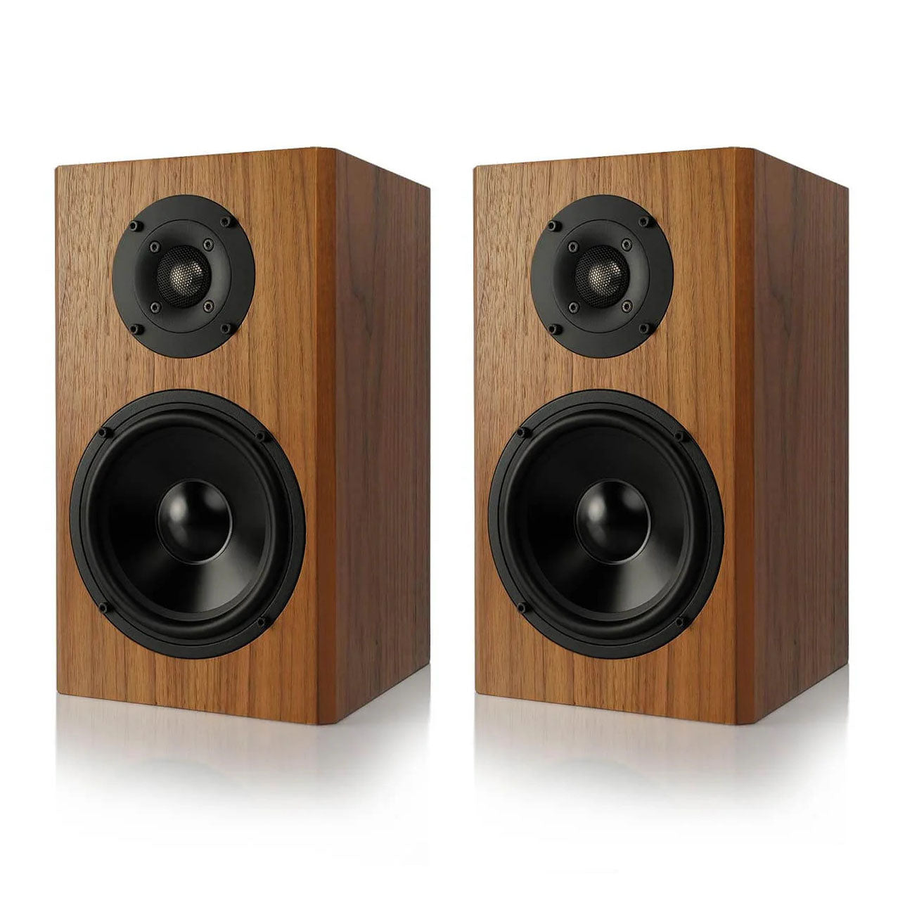 #colour_English Walnut