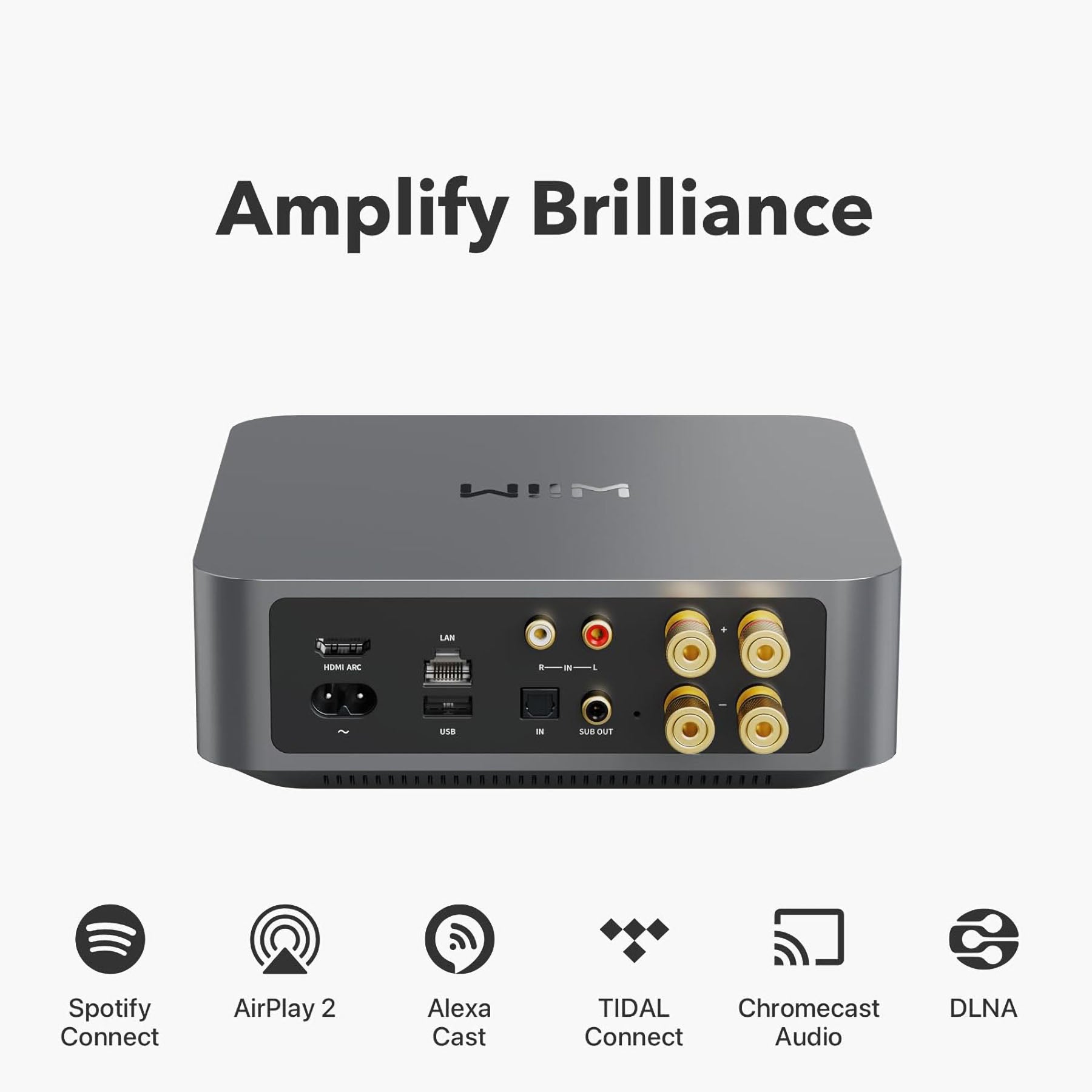 WiiM Amp: Multiroom Stereo Streaming Amplifier with AirPlay 2, Chromecast, HDMI & Voice Control