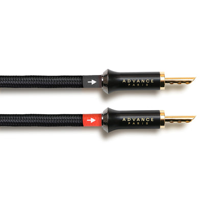 Advance Paris LINK Speaker Cable (pair)