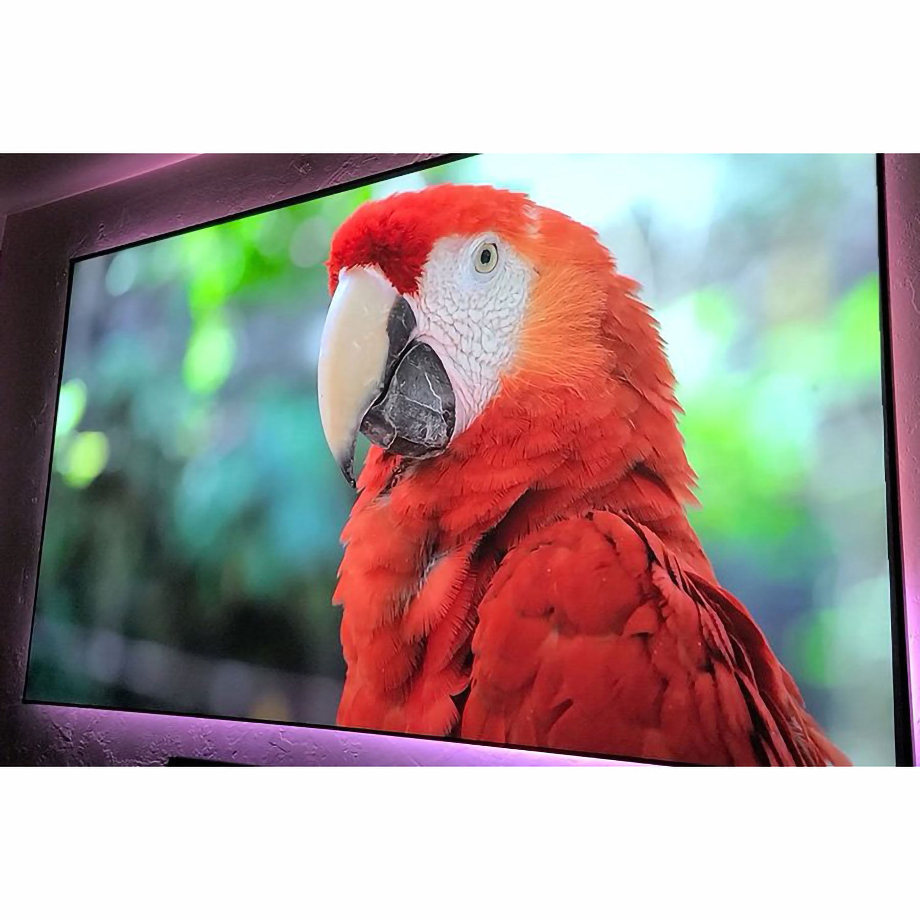 Elite Screen AR100H3-CLR3-U 100" Aeon CLR 3 16:9 Fixed Frame with LED Kit included