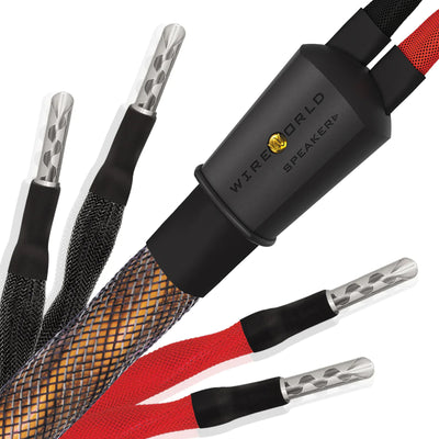 Wireworld Eclipse 10 Bi-Wired Speaker Cable Pair (ECS)