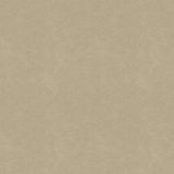 #colour_Vanilla Beige