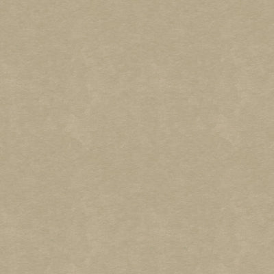 #colour_Vanilla Beige