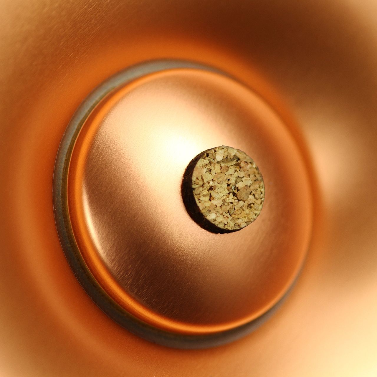 Lindemann Move Monitor Speaker (pair)