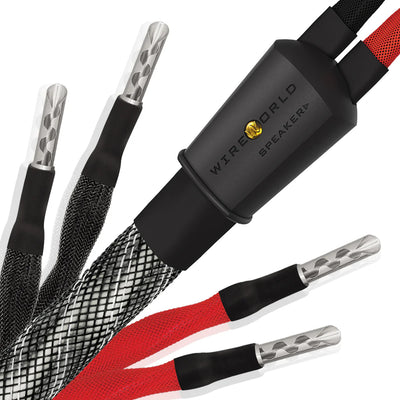 Wireworld Platinum Eclipse 10 Bi-Wired Speaker Cable Pair (PEB)