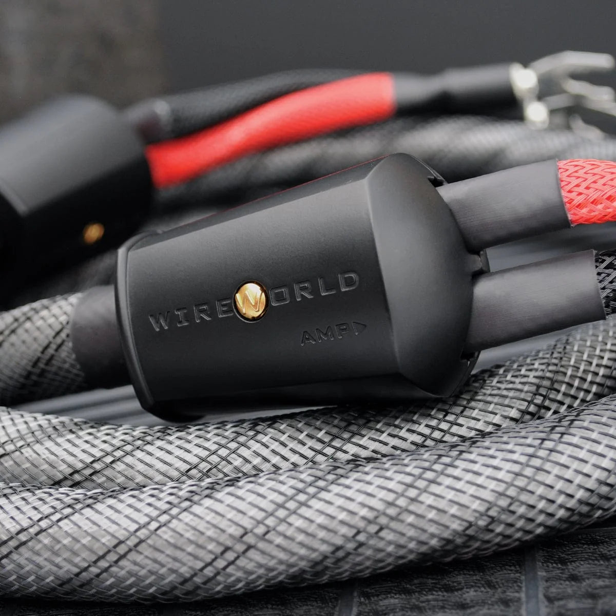 Wireworld Silver Eclipse 10 Speaker Cable Pair (SES)