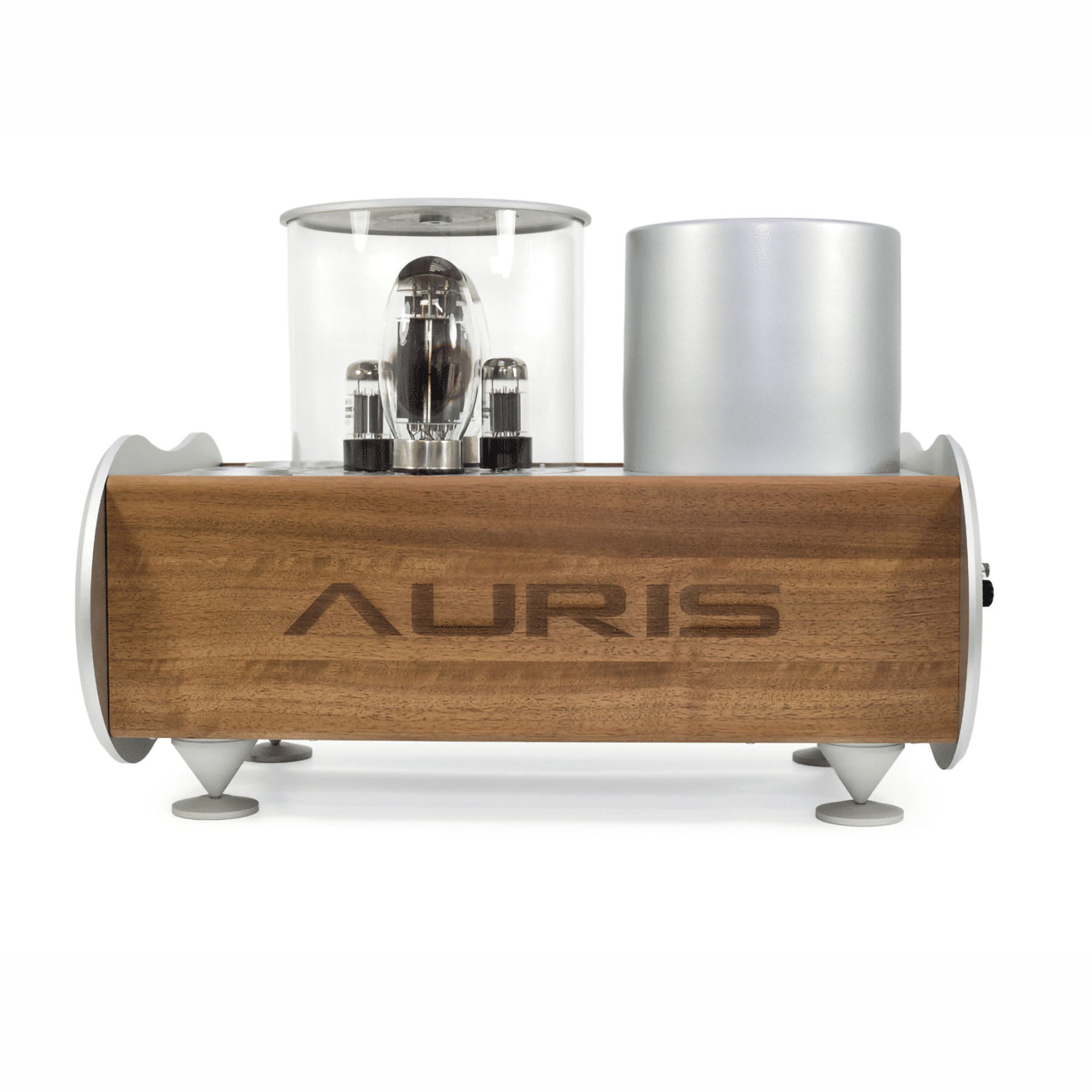 AURIS Forte 150 Vacuum Tube Mono Amplifier (pair)