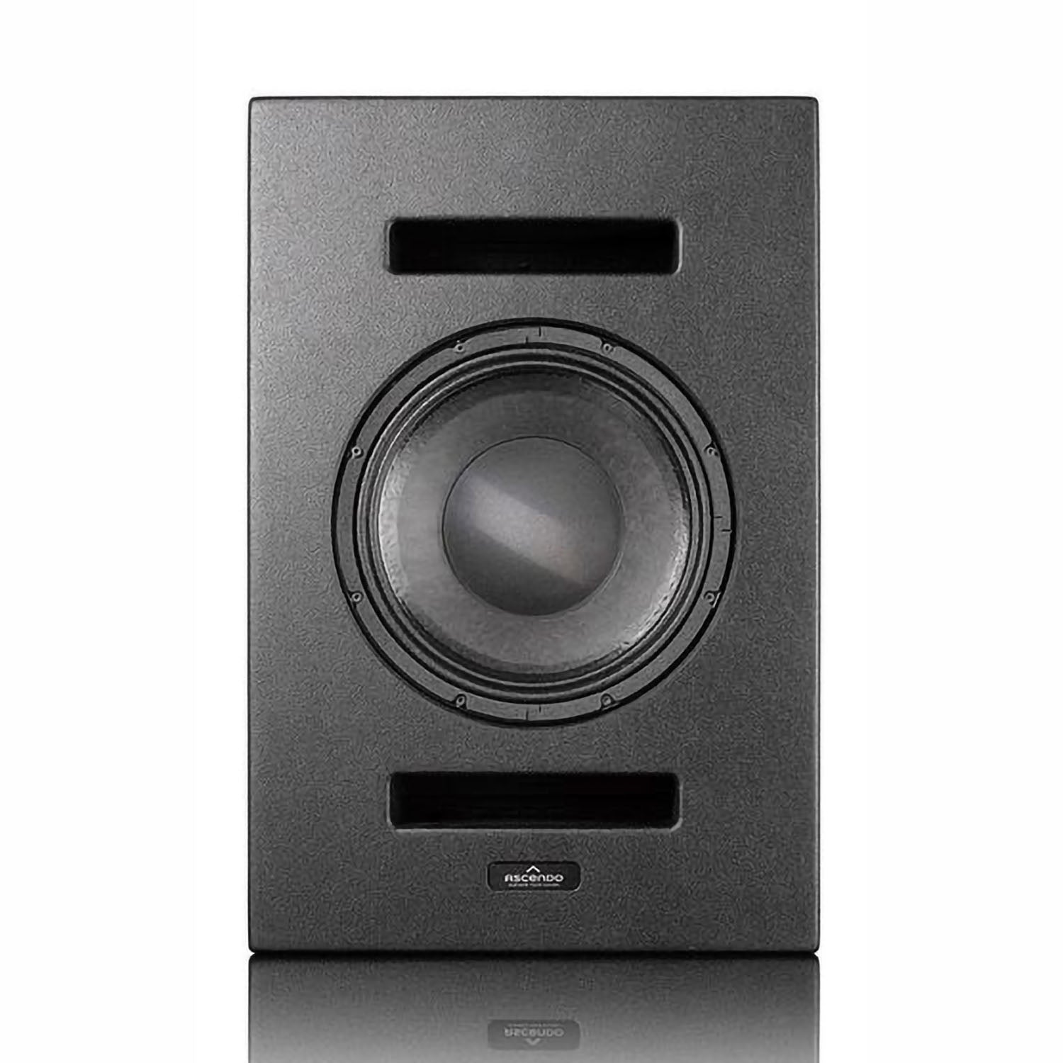 Ascendo The12 ASC-12PP 12" Coax PRO Passive On Wall Speaker - Black (Single)
