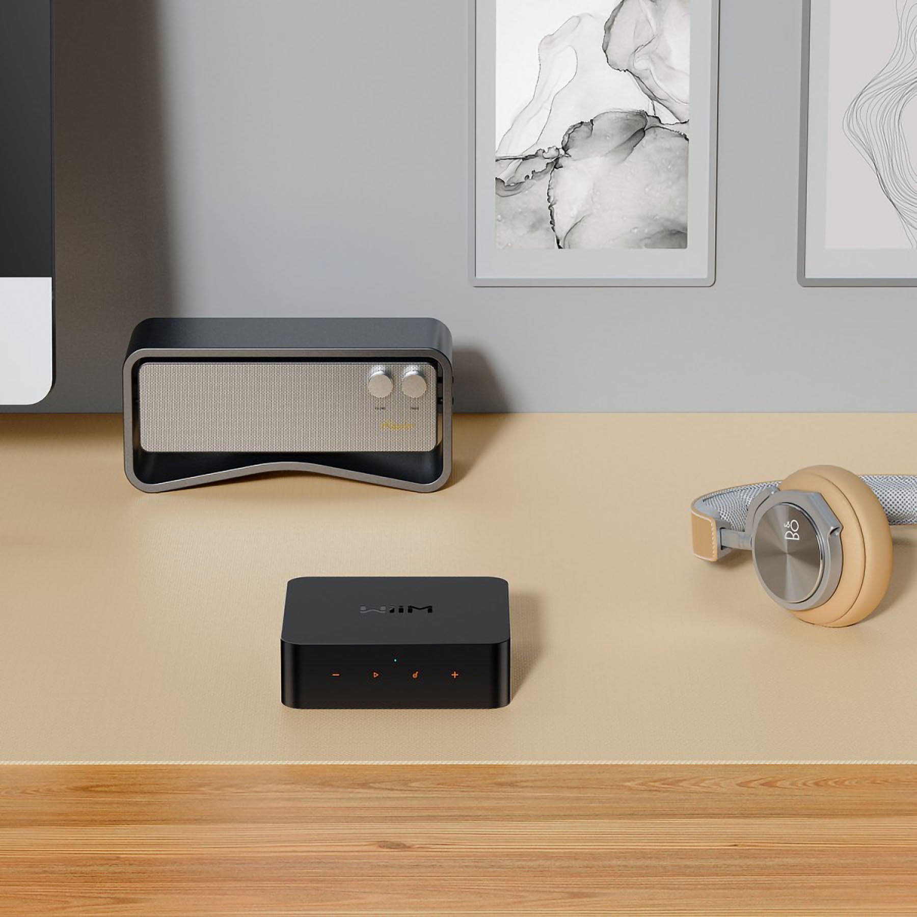 WiiM Pro And Pro Plus Wireless Audio Streamer AirPlay 2 & Chromecast