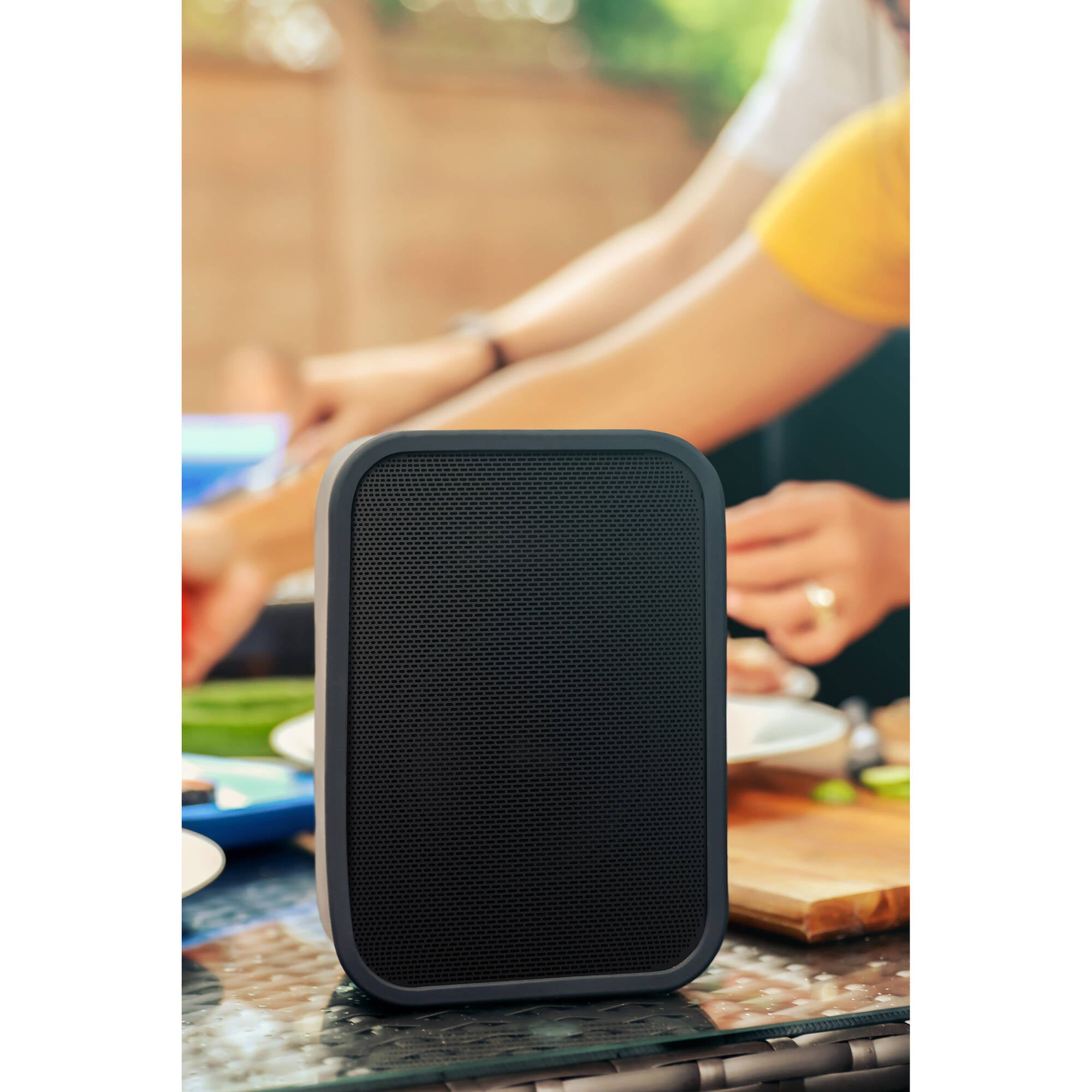 Bluesound PULSE FLEX 2i Portable Wireless Multi-Room Music Streaming Speaker