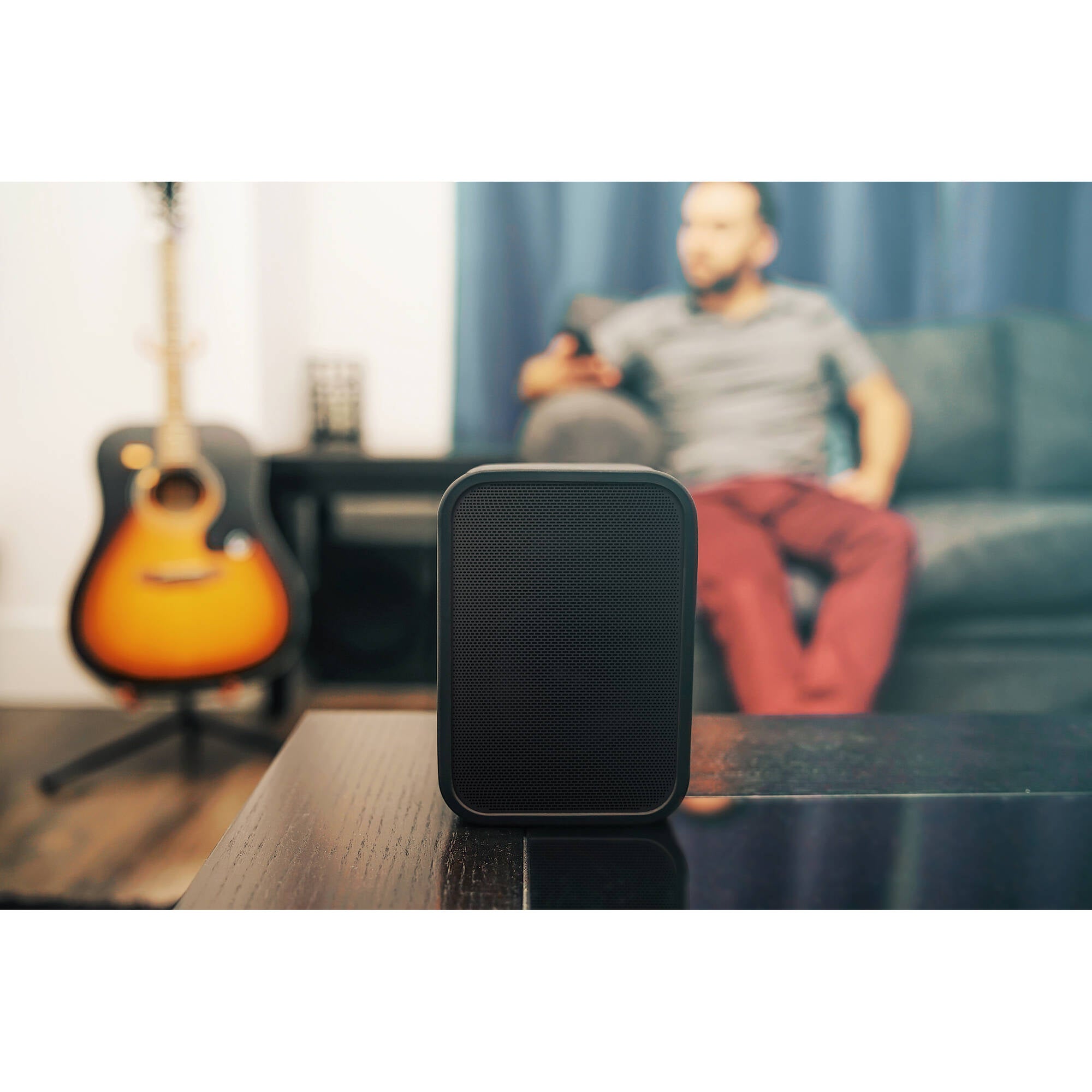 Bluesound PULSE FLEX 2i Portable Wireless Multi-Room Music Streaming Speaker