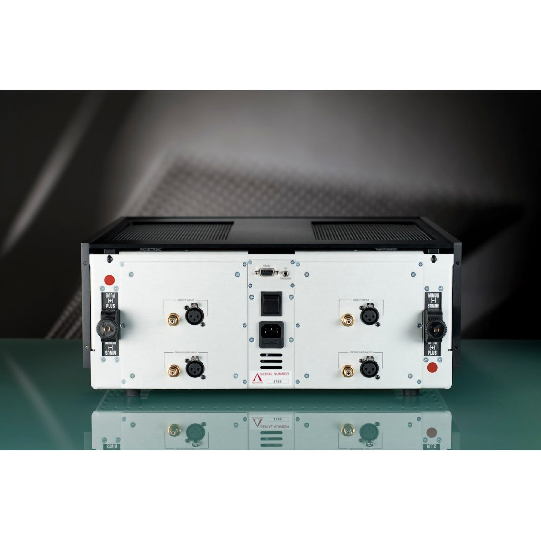 Aesthetix Atlas Saturn Series 300W Mono Block Power Amplifier (1 amplifier)