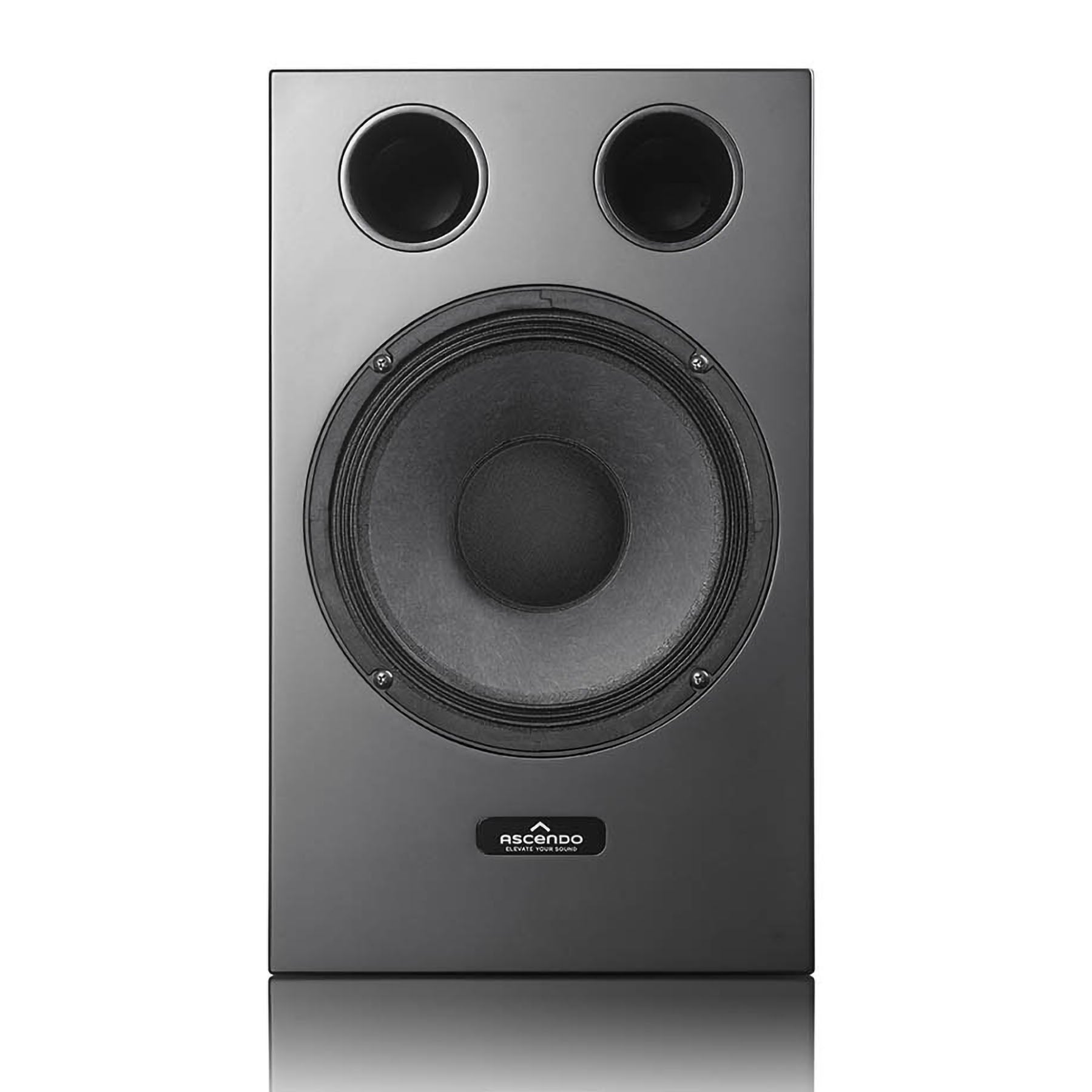 Ascendo ASC-10P The10-P 10" Coax Pro Passive On Wall Speaker (single)