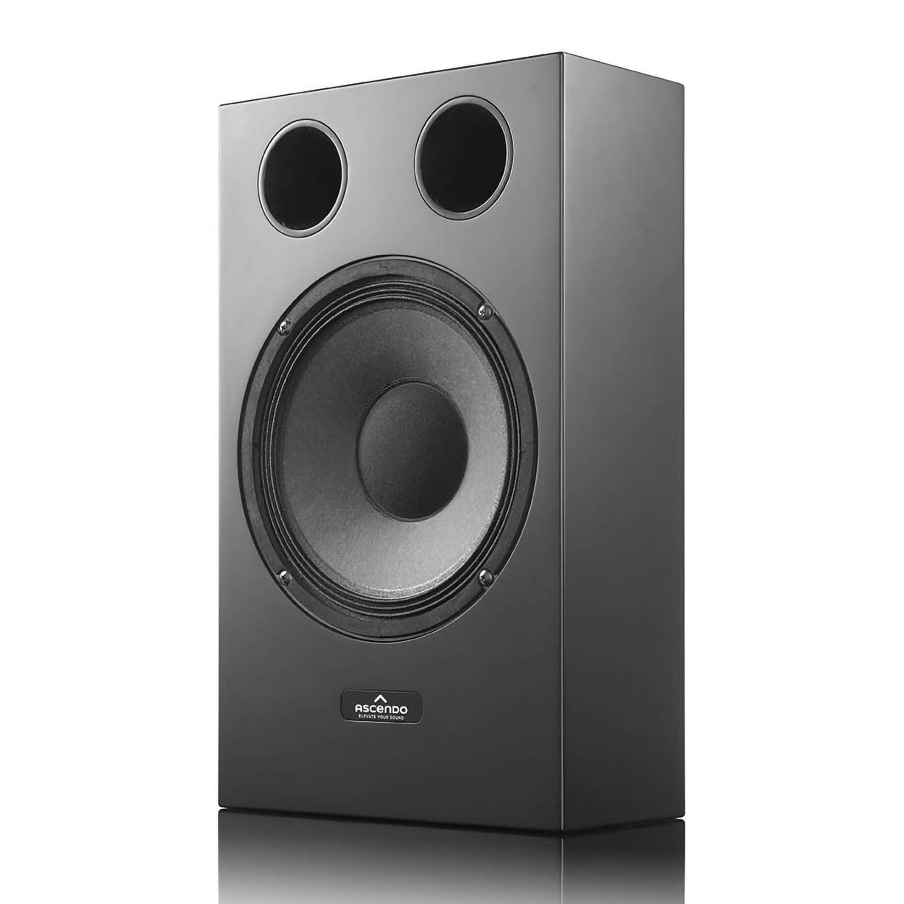 Ascendo ASC-10P The10-P 10" Coax Pro Passive On Wall Speaker (single)