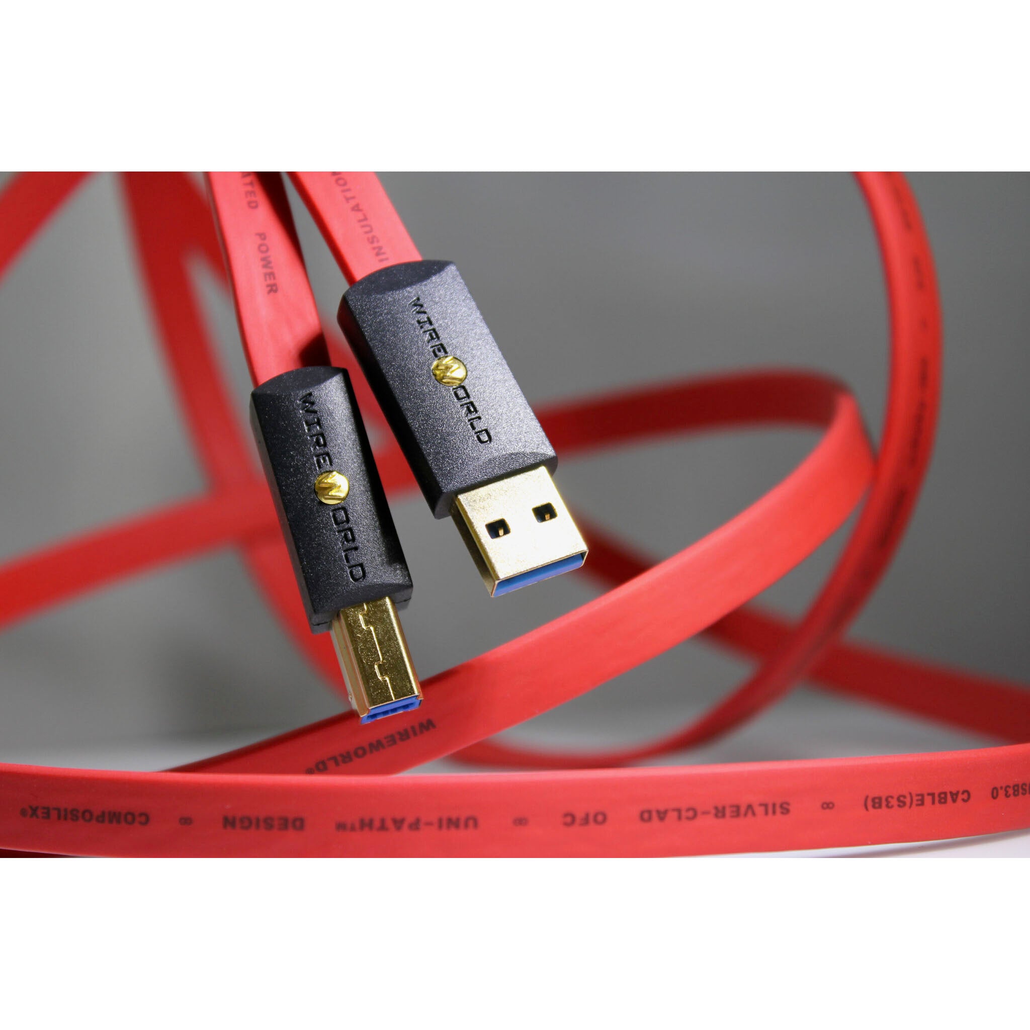 Wireworld Starlight 8 USB 3.1 Audio Cables C to C (S31C)