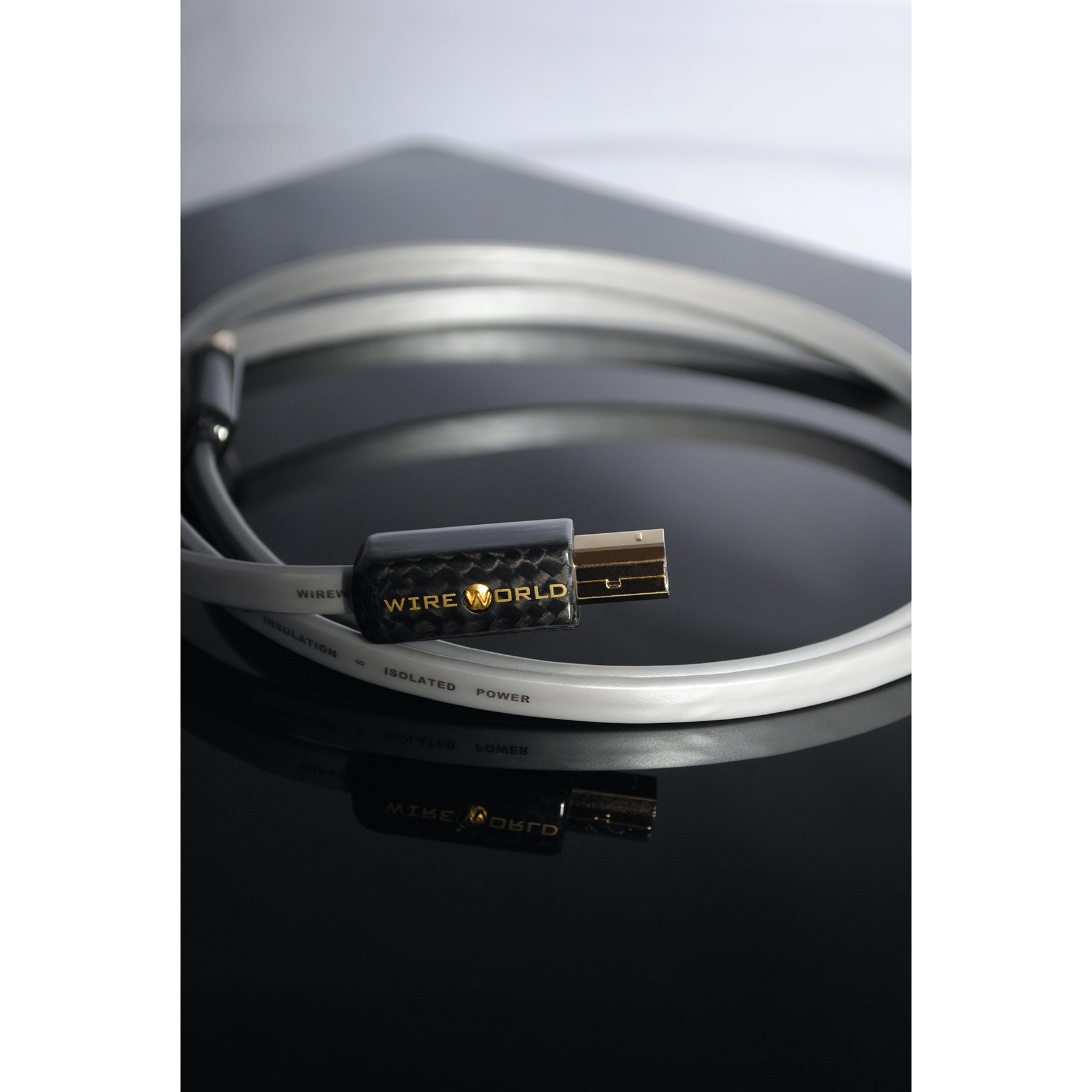 Wireworld Platinum Starlight 8 USB 2.0 Audio Cables